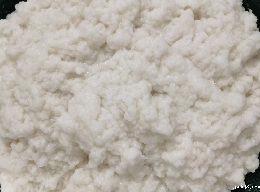 纸浆压榨脱水机试机视频